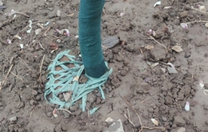 �p�ƶ����@����b���]��ͷN��ȥ���������