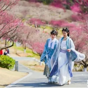 ��ɽ���^(q��)���������˸���