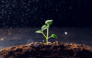 ���ڽ��죡�����ʽ�M��