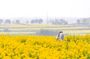 ��ꎻ�����߅�Л]��ʲô�ط������p����