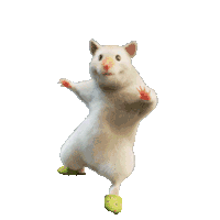 �ҵĶ������U�ˣ���ǰ���_��������Ů���F�ڴ��_ȫ�ǻ��B�x�~