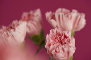 ��һ���ϰ࣬Ů���Ҿ�ȻҲ��100�K�ļt��