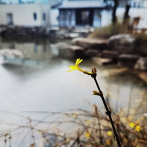 ��ˮ��\������Ƶ�