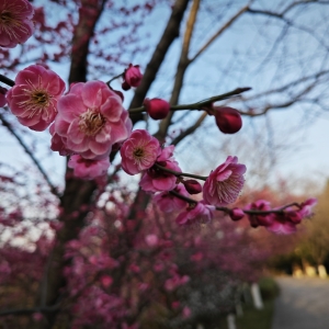 ���µ�����÷����߀��·߅��չ��÷֦