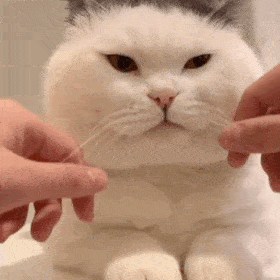 �W���ĉ���Դ���ڼ��L�^����ڴ�