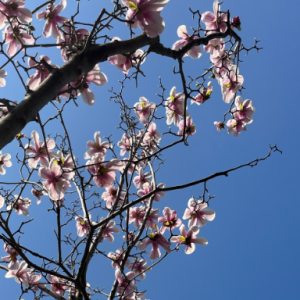 ȥι����؈��혱�����m��