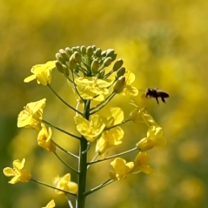 �������İ����������@һ�̴�ů���_