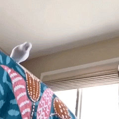 �f��������������������ҵ��̷������r�]Ц������������