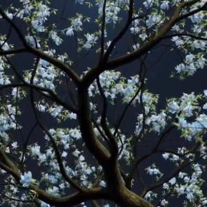 �L�����������S�����㸡�����S��