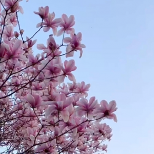 ��һ�N��ɫ�������m���_