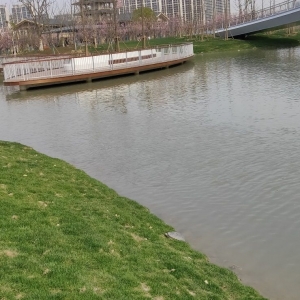 �\�ӹ��@�쵽һֻ���������ڕ�̫�