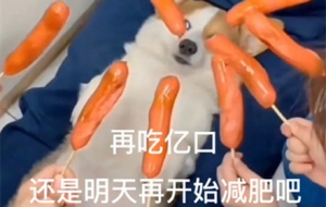 1���������܎׺��]��Ч������Ո������Щ�p�ʷ�����