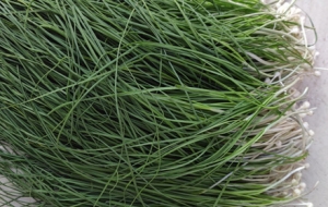 �ֵ��˳�Ұ�˵ĕr�����l���J���@��ɶ��