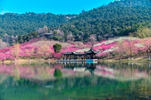 �������f��÷������ʢ�_