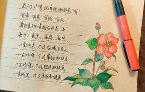 �f���S���� ���ýԿ���