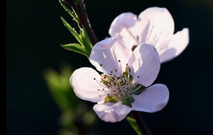 ���Լ���ɴ��죬�ڕr����`��