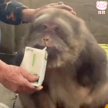 �^���ˌ��������͉�����һ�c�\Ҋ��