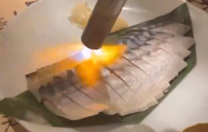 �Ç��������~ �@�������ҽo100��