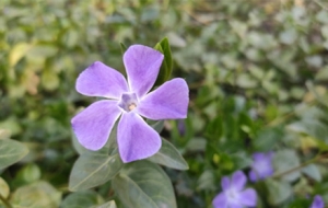 �����p���D�b���@Щ���㶼�J(r��n)�R(sh��)��?