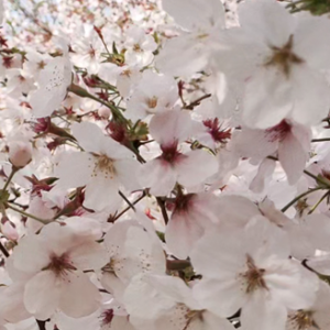 ̤���p�������r������ȥ����������