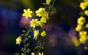 �z�ѷ��������S��ӭ�����Ǵ����ʹ��