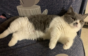 �����ӣ��@ôһ�εÁ�(l��i)������