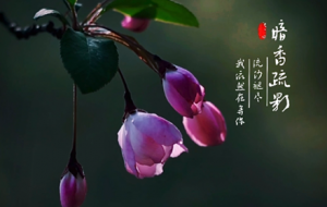 �������Ļ� �r��ʢ�_(k��i) ���G����