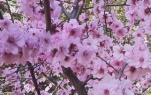 �������� �������\�����