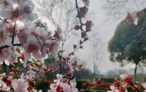 �S�ģ����շ���;�ϵĻ����ݲ�