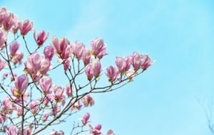 ��ĩ����]�ط�ȥ ��������@