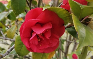 �S�ģ�ꖹ��^�m(x��)���pɽ�衢�N������