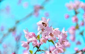 �{(l��n)����ʢ�_�ĺ��Ļ� �p�Đ�Ŀ