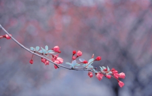 ÿһ���������^�� �f�꺣�Ġ��涷�G