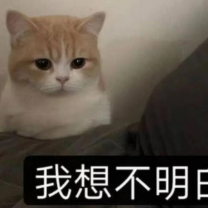 ��ʲô�F(xi��n)�ڱ��Ƴ������ɵĶ�����ǰ�Ќ����ɵĹ���