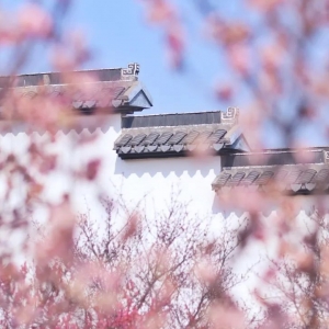 ���L�L�w�����죬����̼t���o߅