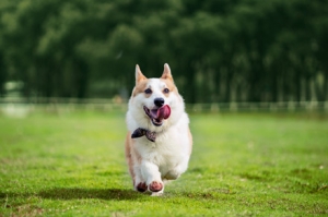 ��ο����T�޹���Ȼ��׌�����ڄe��܇̥��݆ݞ��