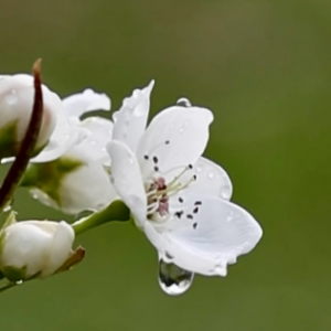 ���滨������ҲҪ����w