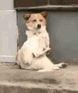 �������Џĸ�һ���������L�r�g��һ����