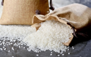 ֮ǰ�����¶�؛�đB����ǰ�͵�һ���׽K���_����