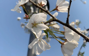 ����p�����́�(l��i)�@����