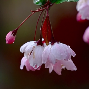 ���Ļ�δ�������X����������߅