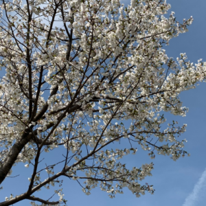 �c���£��r���c��ʳͬ��