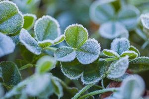 ��ꎽ�����������˪��