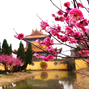 ��ꎵ�÷�@������ף���ɿݶU��