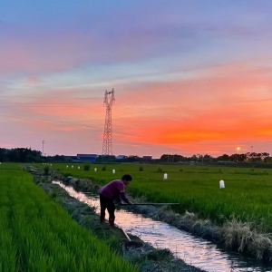 �����K�ô��ס�������@�ɼ��ϰ�