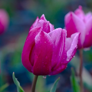 Ը���Ǻ��������M�����g����