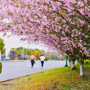 ���մ򿨣� ·߅�������f