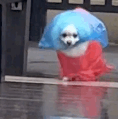 �l�������@�����ڼ��L��~�W�����L����ɽ��