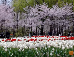 ���L�������������c�ѻ���������