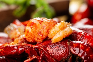 ʳƷ�����r��Ŷ����Xһ�